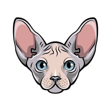 Colorful illustration of a cat s face. White Sphynx hairless cat. clipart