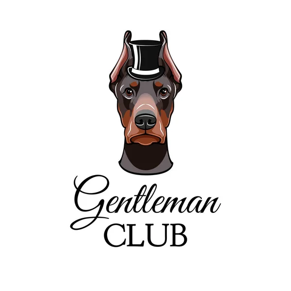 Dobermann Pinscher hond met hoge hoed... Vector geïllustreerde portret van hond. — Stockvector