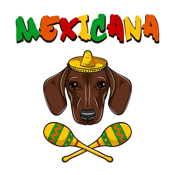 Retrato de Perro Dachshund con sombrero y maracas. México. Vector — Archivo Imágenes Vectoriales