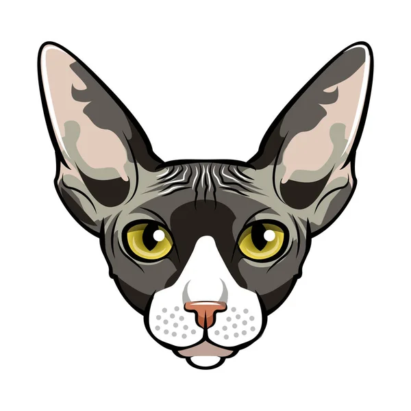 Sphynx, γάτα πρόσωπο κινούμενων σχεδίων. Διάνυσμα. — Διανυσματικό Αρχείο