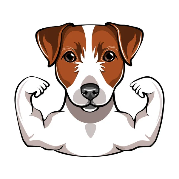 Jack Russell Terrier ile muscule. Vektör — Stok Vektör