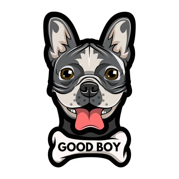 Pug face and bone. Good boy - lettering. Vector illustration — Stock Vector