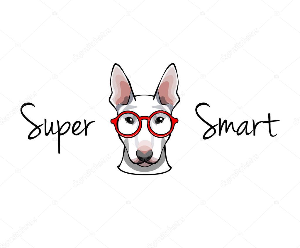Bull Terrier dog in glasses - vector illustration isolated on white
