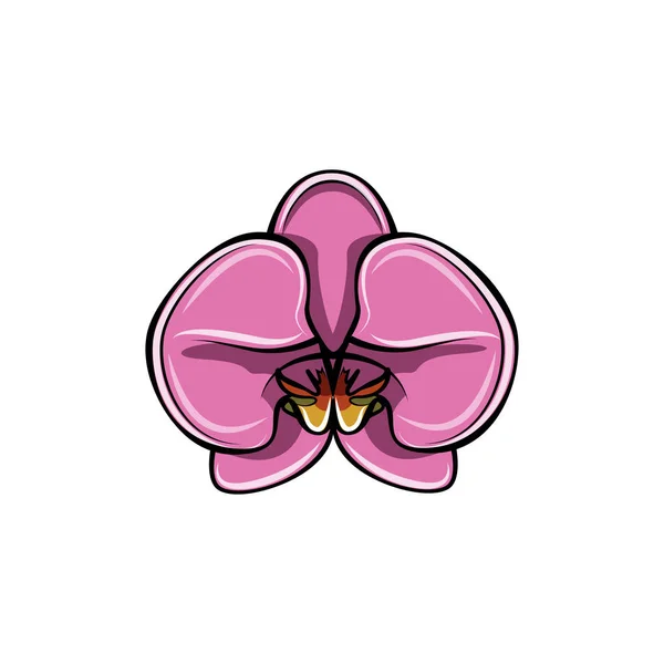 Красивая розовая орхидея. Цветок. Векторная иллюстрация . — стоковый вектор