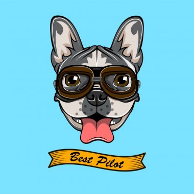 Bulldog. Köpek pilot. Bulldog wearind pilot s gözlük. Vektör çizim.