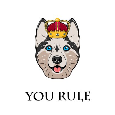 Husky taç resimde. Vektör çizim.