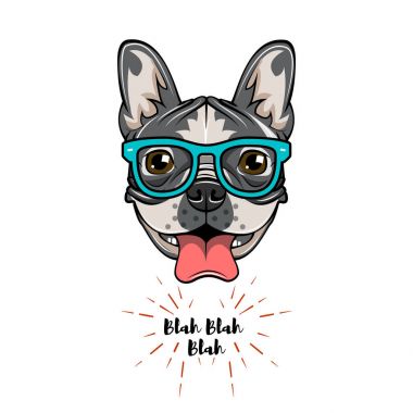 Hipster Geek Fransız buldozer. Köpek geek. Vektör çizim.