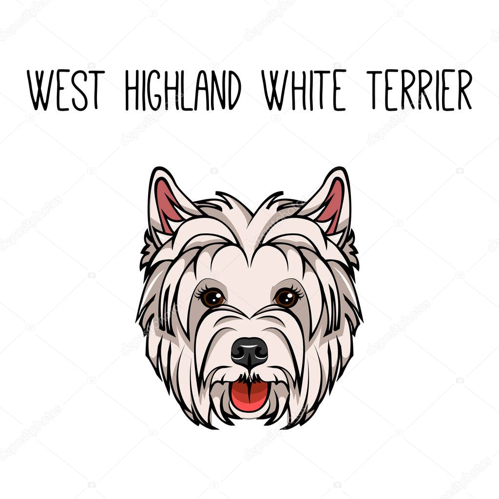 Vector dog West Highland White Terrier face icon flat design. Vector illustration.