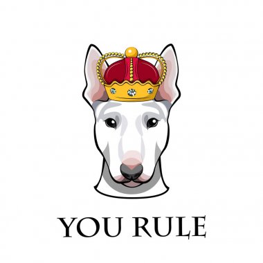 İngiliz Bull terrier köpek kafasına taç. Metin kural. Vektör çizim.