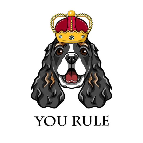 Türkçe taç giyen İspanyol dostum. Kral köpek. Vektör çizim.