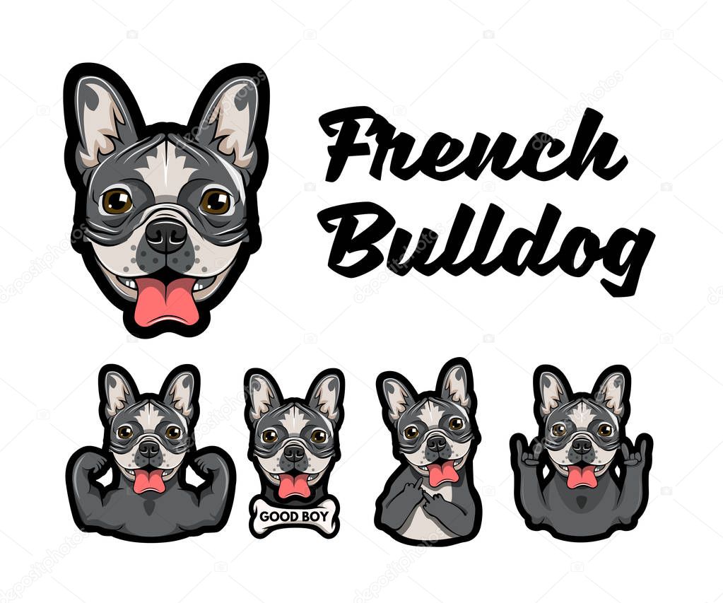French bulldog with different gestures. Vector illustration.