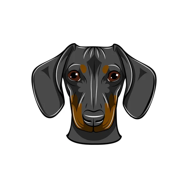 Divertida cabeza de perro Dachshund de dibujos animados. Ilustración vectorial . — Vector de stock