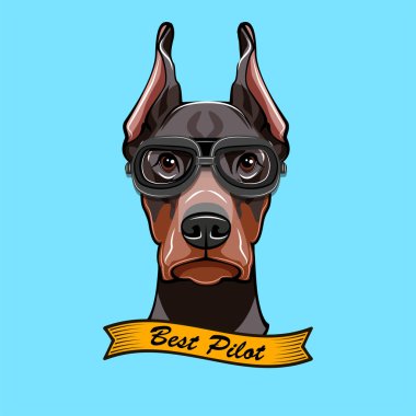Doberman pilon. Köpek Pilot s gözlük. Vektör çizim.
