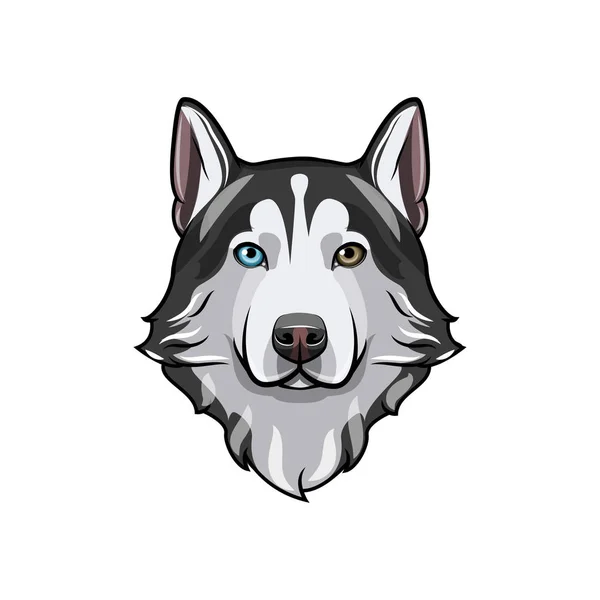 Husky sibérien noir et blanc aux yeux multicolores. Portrait de chien dessiné à la main. Illustration vectorielle — Image vectorielle