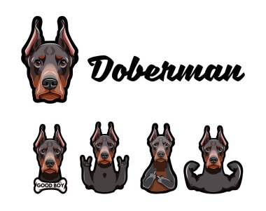 Doberman hareketlerle. Orta parmak, kemik, Muscules, Rock. Vektör çizim.