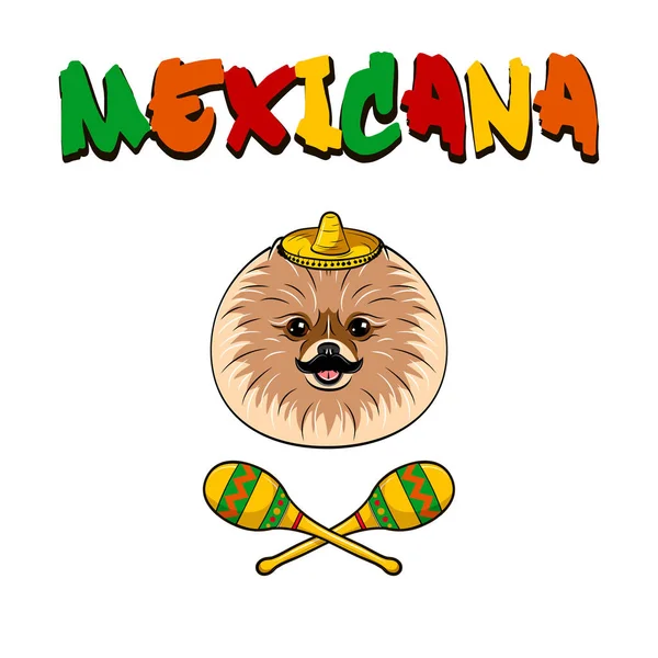 Cane Spitz messicano con baffi, sombrero e maracas. Illustrazione vettoriale . — Vettoriale Stock