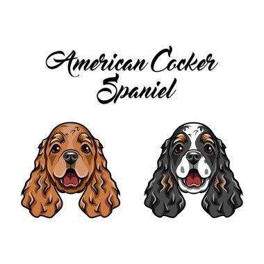 American Spaniel. Simge ile iki spaniel köpek. Vektör çizim.
