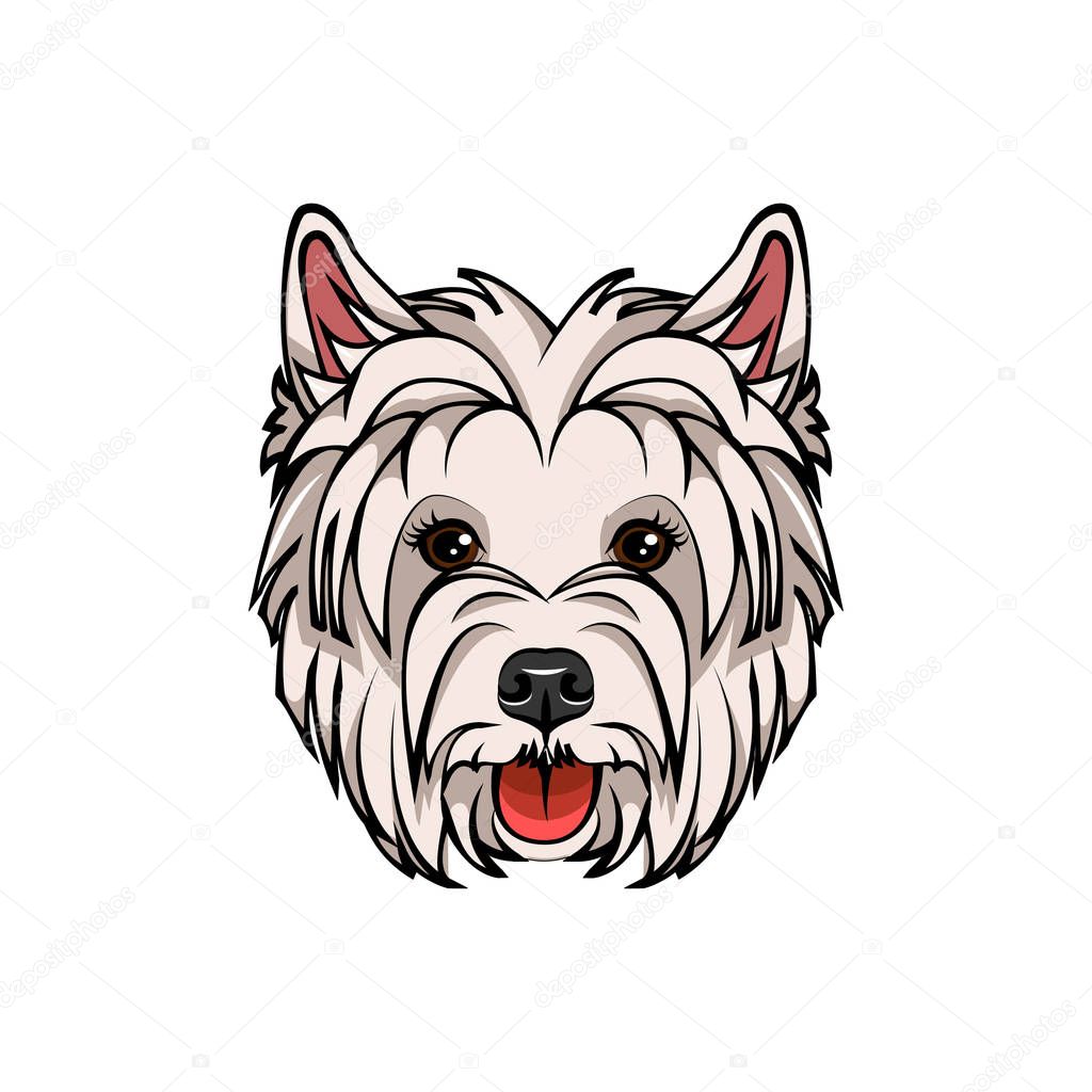 West Highland White Terrier portrait. Dog Breed. Vector Illustration.