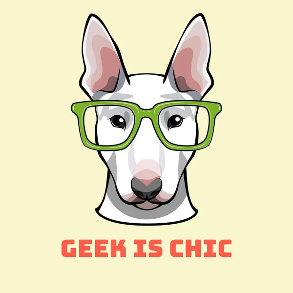 Bullterrier geek. Kutya intelligens szemüveg. Kutya portré. Vektoros illusztráció. — Stock Vector