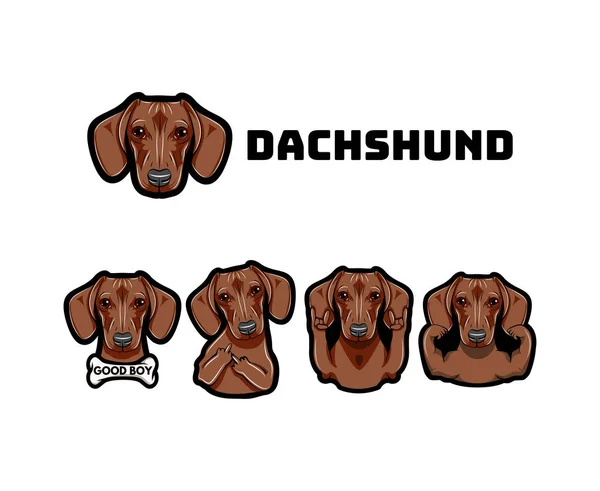 Dachshund hareketlerle. Köpek. Orta parmak, kas, kemik, taş, boynuzları. Vektör.