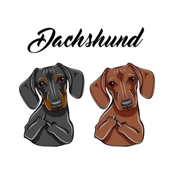 Dachshunds με μεσαία δάχτυλα. Σκυλιά με χειρονομία. Διάνυσμα. — Διανυσματικό Αρχείο