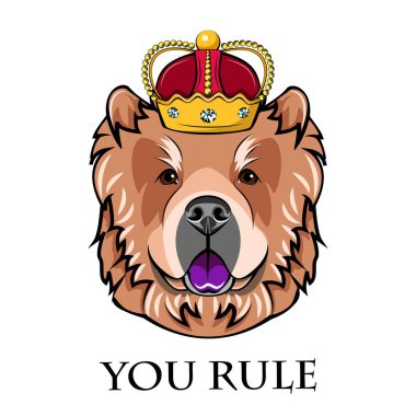 Chow Chow Kral. Taç. Köpek portre. Vektör.