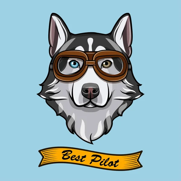 Piloto siberiano de perros husky. Gafas de aviador. Gafas de piloto. Vector . — Vector de stock