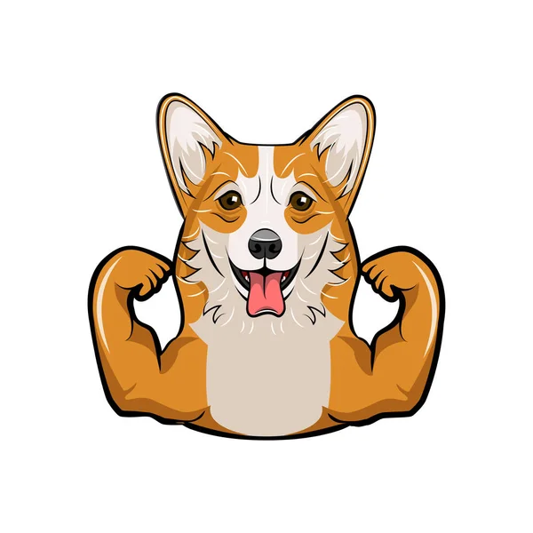 Muscles gallois de chien de corgi. Race de chien. Chien de sport. Vecteur . — Image vectorielle