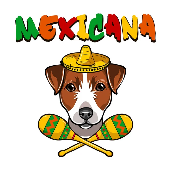 Jack Russell Terrier kutya. Sombrero maracas. Mexikó. Kutya tenyészt. Vektor. — Stock Vector