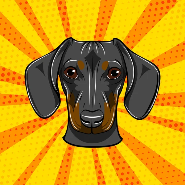 Face de teckel. Portrait de chien tête de museau. Race de chien. Vecteur . — Image vectorielle