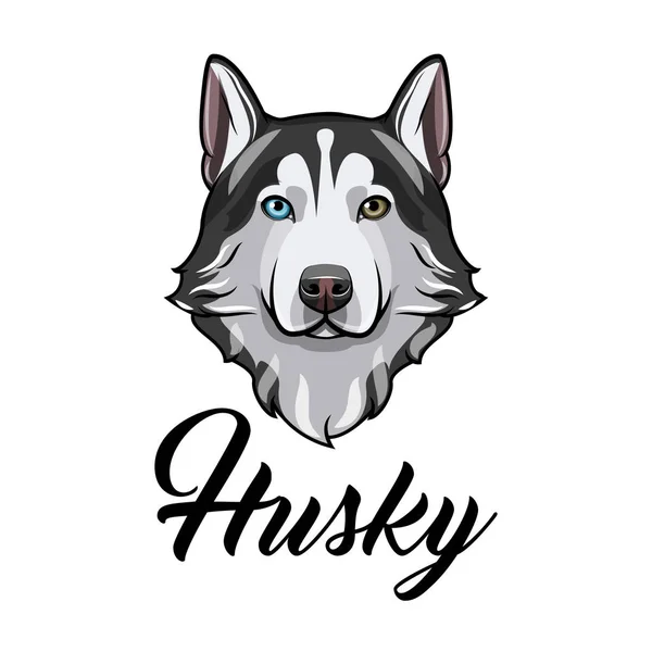 Chien husky sibérien. Tête de chien. Muselière Husky. Race de chien. Portrait de chien. Vecteur . — Image vectorielle