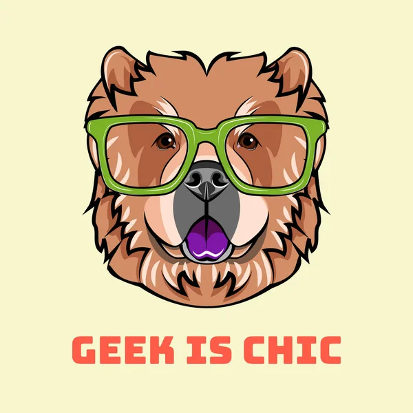 Chow chow geek. Des lunettes intelligentes. Chien intelligent. Race de chien. Portrait de chien. Vecteur . — Image vectorielle