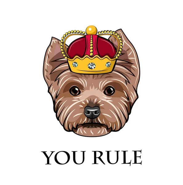 สุนัข Yorkshire Terrier มงกุฎ คุณเป็นคนเขียนกฎ กษัตริย์หมา ใบหน้าหัวหมา เวกเตอร์ . — ภาพเวกเตอร์สต็อก