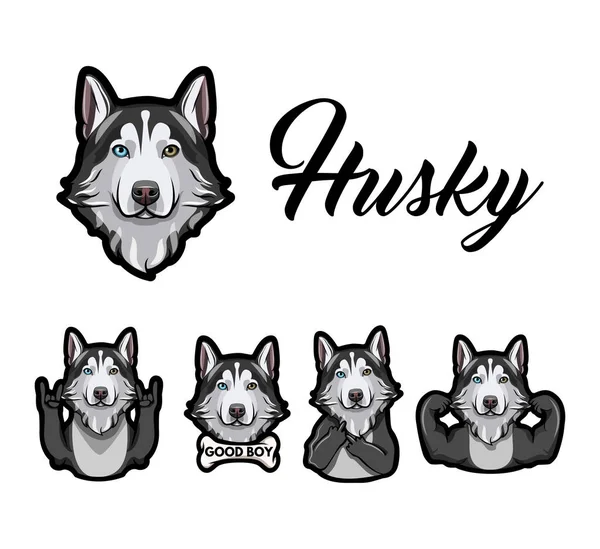 Husky siberiano. gesto de rock, dedo médio, músculos, osso, chifres. Vetor . —  Vetores de Stock