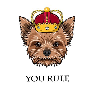 Griffon köpek Kral. Taç. Köpek portre. Köpek doğurmak. Vektör.