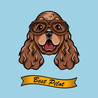 Yavru horoz İspanyol Pilot. Köpek havacı. Köpek doğurmak. İspanyol baş yüz. Vektör.