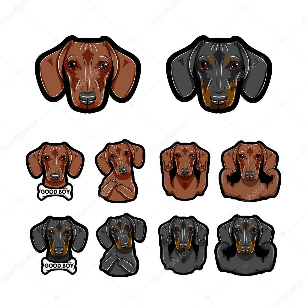 Dachshund dos. Bone, Rock gesture, Muscles, Middle finder. Dog face, head. Vector.