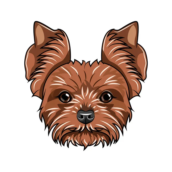Γιορκσαιρ Τεριε κεφάλι. Πορτραίτο σκύλου. Ράτσα σκύλου. Διάνυσμα. — Διανυσματικό Αρχείο