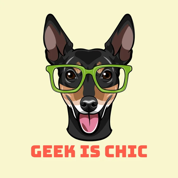 Rosyjski Toy Terrier Degenerat. Inteligentne okulary. Geek jest elegancki tekst. Wektor. — Wektor stockowy