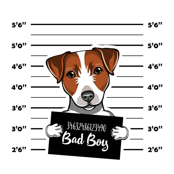 Jack Russell Terrier Gefangener. Foto der Festnahme. Polizeiplakat, Polizeimugshot, Aufstellung. Polizei-Banner. Hund. Vektor. — Stockvektor