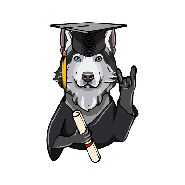 Siberische Husky afgestudeerd. Rock gebaar, hoorns. Afstuderen GLB hoed diploma. Hond. Vector. — Stockvector
