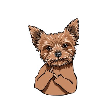 Yorkshire Terrier köpek. Orta parmak hareketi. Köpek portre. Vektör.