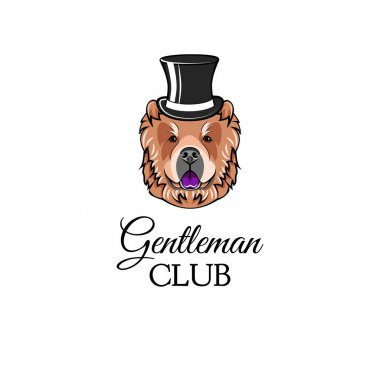Chow chow beyefendi. Silindir şapka. Accessorry. Köpek portre. Vektör.