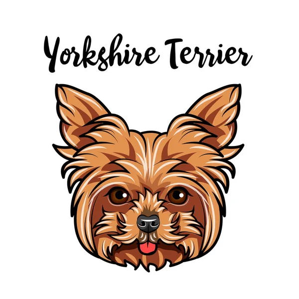 Yorkshire terrier muzzle. Cara de cão. Raça de cães. Bonito animal de estimação. Vetor . — Vetor de Stock