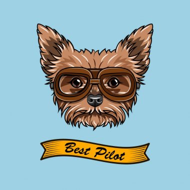 Yorkshire terrier pilot. Köpek havacı. Köpek portre. Vektör