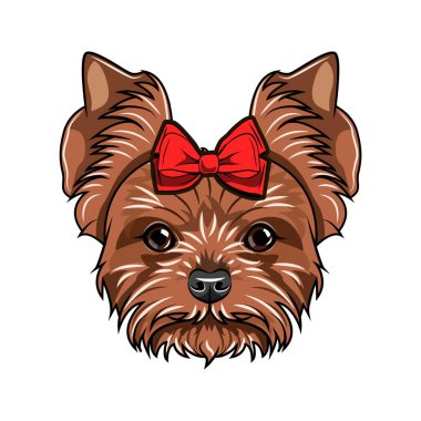 Yorkshire terrier portre. Köpek doğurmak. Köpek başında bir yay ile dekore edilmiştir. Vektör.