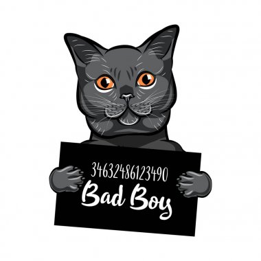 Rus mavi kedi mahkum. Tutuklama fotoğraf. Suç köpek. MugShot fotoğraf. Polis, polis mugshot, sanatçısını tasarlamak. Tutuklama. Fotoğraf suçlu. Vektör.