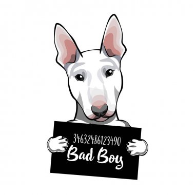Boğa korkunç suçlu. Tutuklama fotoğraf. MugShot fotoğraf. Polis, polis mugshot, sanatçısını köpek mahkum tasarlamak. Fotoğraf suçlu vektör