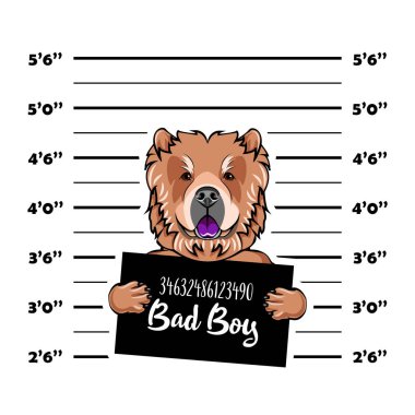 Chow chow köpek. Mahkum, mahkum. Köpek suçlu. Polis, polis mugshot, sanatçısını tasarlamak. Tutuklama fotoğraf. MugShot fotoğraf. Vektör.