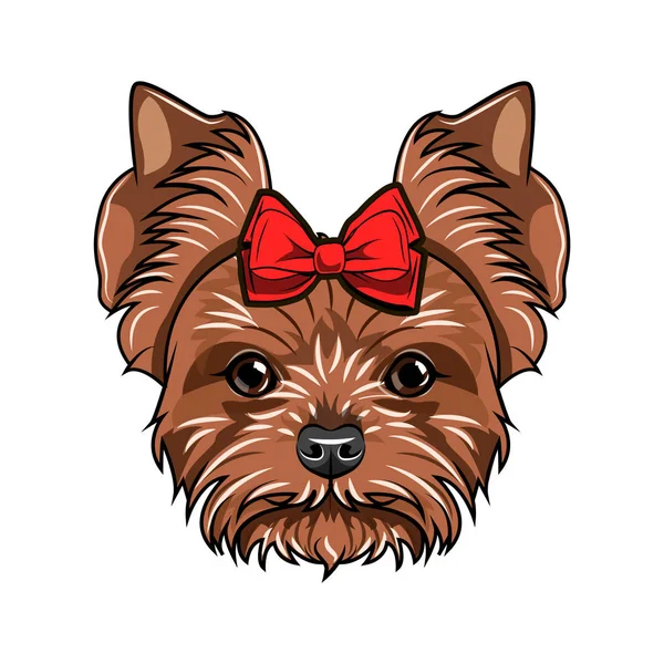 Retrato de Yorkshire Terrier. Raça de cães. Cão decorado com um arco na cabeça. Vetor . —  Vetores de Stock